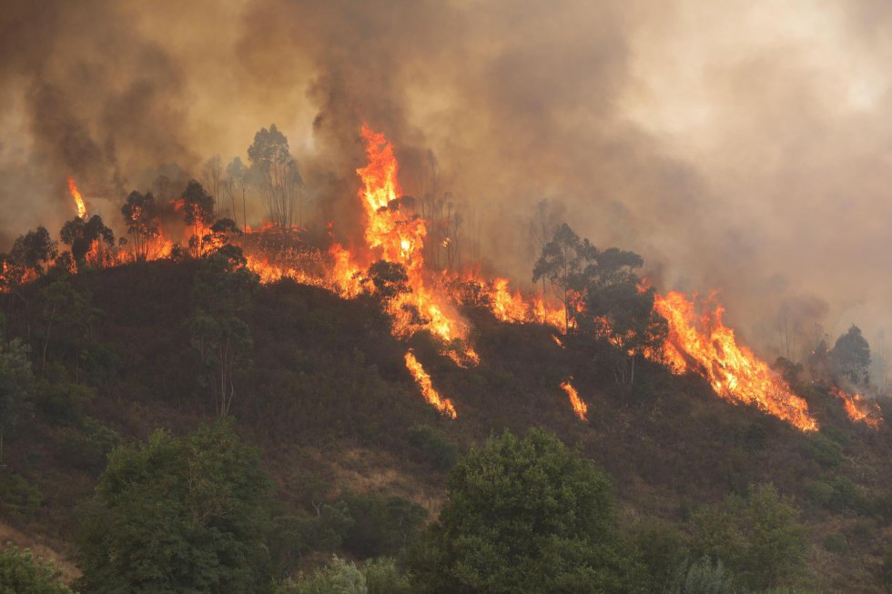 Fotos El Incendio Forestal Del Algarve En Imagenes Internacional El Pais