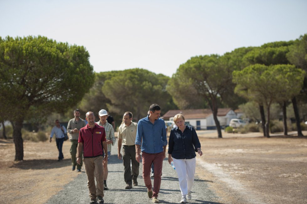 Pedro Sánchez y Angela Merkel a su llegada al centro de crÃa El Acebuche, el 12 de agosto de 2018 en Matalascañas, Huelva.