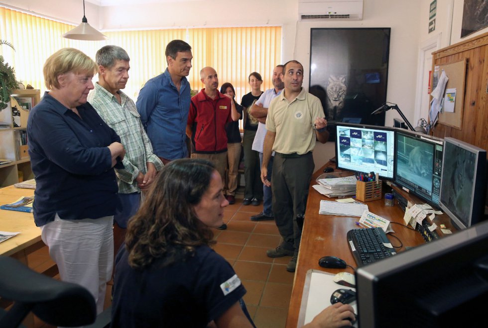 Angela Merkel junto a su marido Joachim Sauer y el presidente Pedro Sánchez visitan los trabajos de conservación del lince ibérico en El Acebuche, Matalascañas.