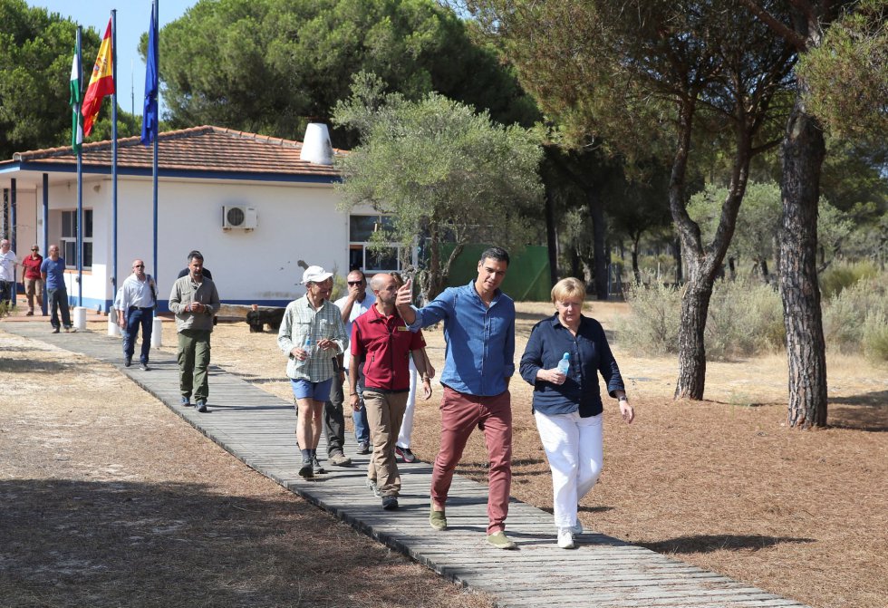 Pedro Sánchez y Angela Merkel a su llegada al centro de crÃa El Acebuche, el 12 de agosto de 2018 en Matalascañas, Huelva.