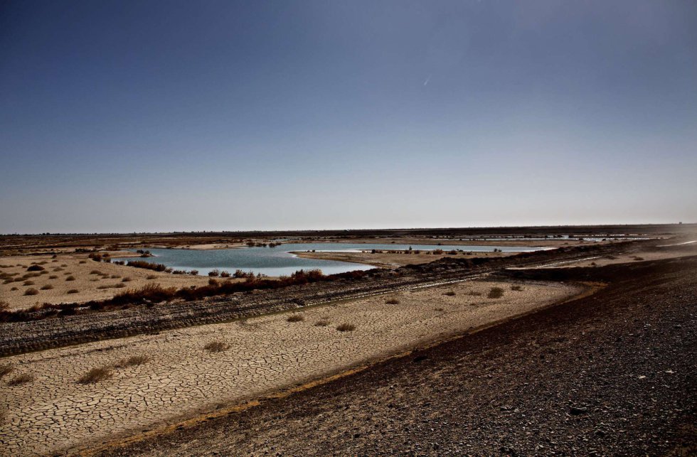 En AfganistÃ¡n, la sequÃ­a pone en riesgo la seguridad alimentaria de dos millones de personas. Una vista general,muestra el agua restante en algunas partes del humedal Hamoon, cerca de la ciudad de Zabol, en la provincia sureste de Sistan-Baluchistan, fronteriza con AfganistÃ¡n.