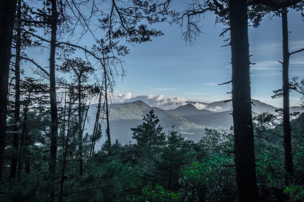 La mayor parte de la regiÃ³n de la Huasteca Potosina se encuentra en el Estado de San Luis PotosÃ­. Su vegetaciÃ³n y geografÃ­a hacen de ella uno de los pulmones de MÃ©xico. La regiÃ³n se encuentra actualmente en el punto de mira de las grandes petroleras que tratan de extraer hidrocarburos mediante 'fracking'.