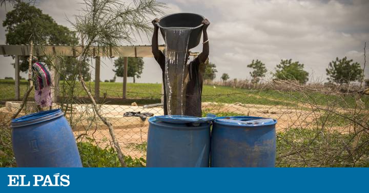 Sexo a cambio de agua | Planeta Futuro | EL PAÍS