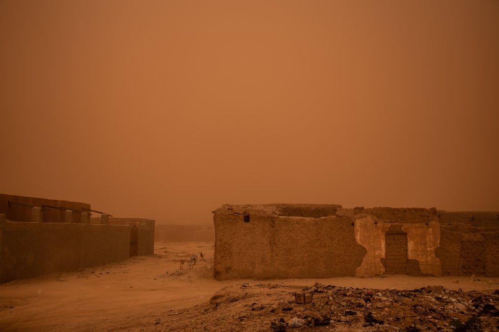 Ingall foi escolhido como o epicentro de 'La Cure Salé' porque é um cruzamento e comércio trans-saariano para pastores nômades de diferentes partes do Sahel. Seus oásis e solos salinos fornecem comida e água para camelos e gado cansados ??antes de tomar o caminho para o sul, onde a sobrevivência em constante movimento é um pouco mais viável.