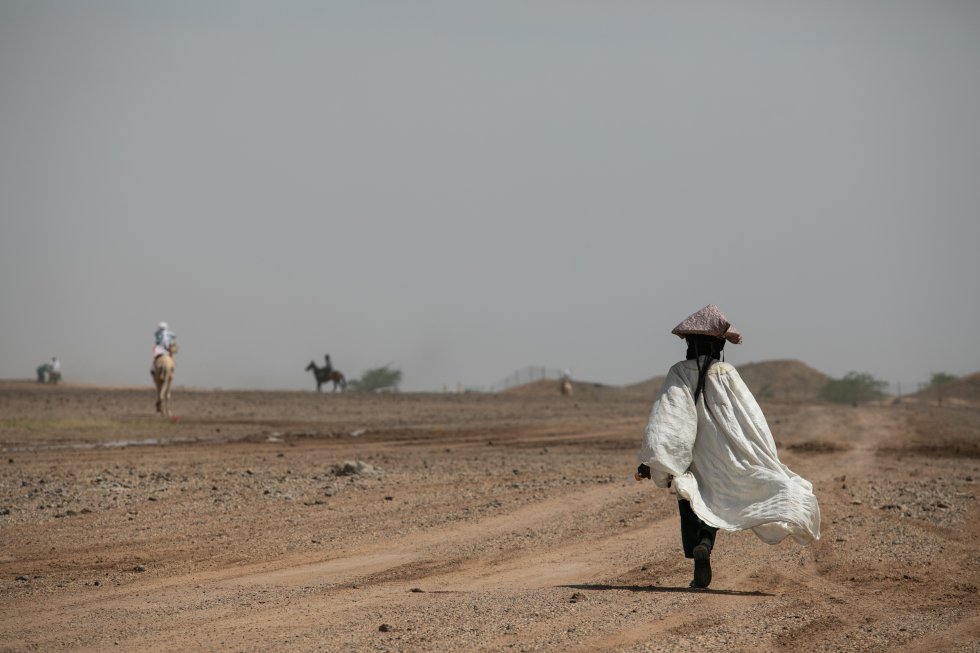 Mais um ano, os nômades Tuaregue e Wodaabe foram reunidos na festa nômade. Antes, durante e depois do festival, o tempo parece parar para dar lugar ao espetáculo, cor, música, sedução e arte. Em uma cultura cuja sobrevivência depende da existência e manutenção da pecuária, o futuro parece incerto. Mas é hora de continuar. Os animais são bem alimentados e se beneficiaram da 'cura salgada'. As chuvas não aparecerão até maio ou junho. Em poucos meses, os nômades contarão as histórias e os segredos da viagem, 