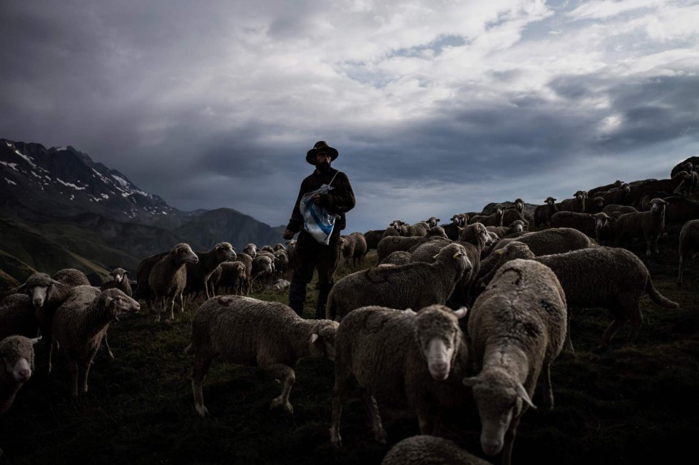 Fotos La vida de un pastor trashumante en los Alpes franceses, en imágenes Actualidad EL PAÍS