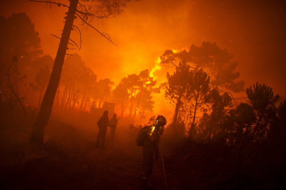Un bombero pasa junto a los árboles quemados durante un incendio forestal en Tabuyo del Monte, cerca de León, España, el martes 21 de agosto de 2012. Se desplegaron 500 soldados para ayudar a combatir un incendio forestal que las autoridades creen que quemó 80 kilómetros cuadrados. El cambio climático es una de las principales causas de los incendios: al descender las precipitaciones, el suelo se agosta. Cada vez se producen incendios más intensos, que sobrepasan los esfuerzos de los equipos de extinción. La propia sequía y las temperaturas extremas modifican la composición de la masa forestal haciendo que arda más rápido. El abandono de la vegetación genera un escenario perfecto para la propagación de las llamas.