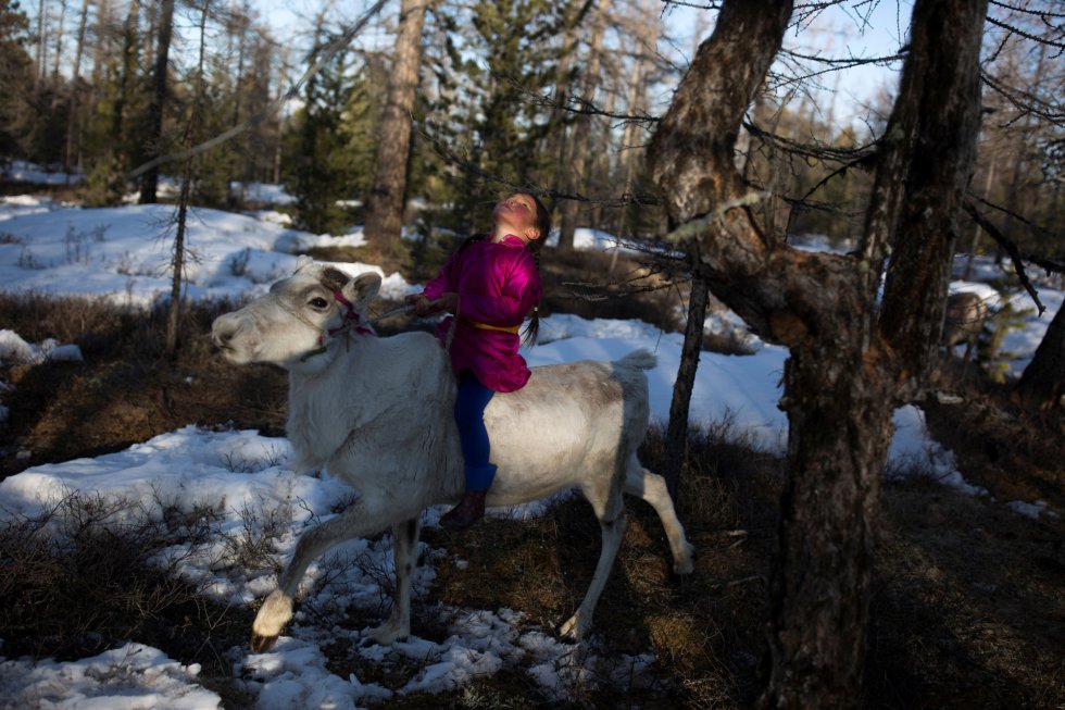 Tsetse, de 6 anos, montada em uma rena em um bosque próximo à aldeia de Tsagaannuur (Mongólia), em 21 de abril de 2018.