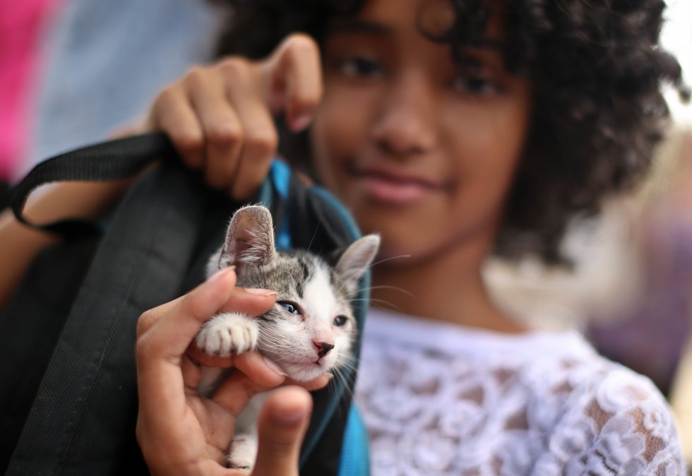 Uma criança posa com um gato em uma marcha pela lei de proteção para os animais em Havana (Cuba), em 15 de abril de 2018.