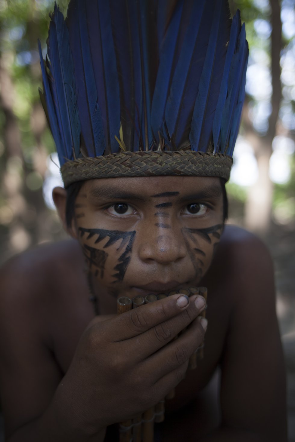 Nesta região da Amazônia, devido a sua proximidade com a capital Manaus, a desmatamento avança a passos largos. Segundo dados do Instituto Nacional de Pesquisas Espaciais (INPE), em 2017 foram registrados quase 7000 quilômetros quadrados de floresta devastada. O perigo hoje é o avanço das grandes plantações de soja e da pecuária.