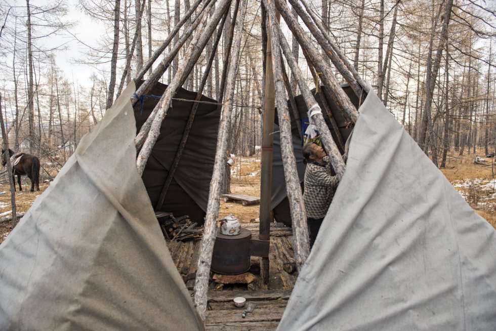 Los tsaagan han sustituido las pieles tradicionales con las que forraban sus tipis por lonas y plásticos que mejoran la impermeabilidad.