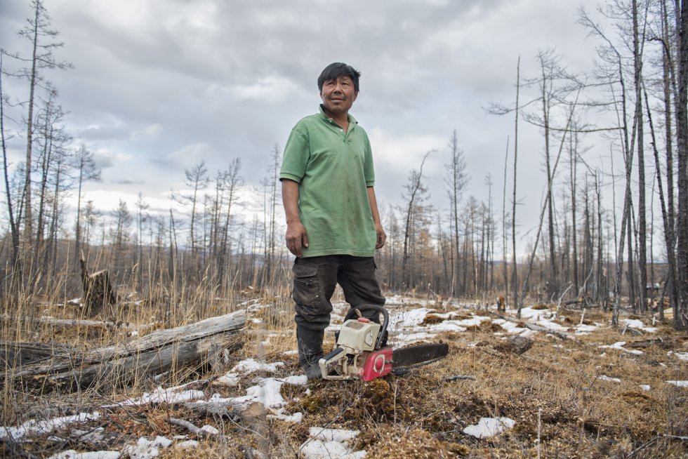 : Un hombre tsaagan hace un receso en la tala de árboles, uno de los principales puntos de fricción entre esta etnia y el Gobierno. No reforestan absolutamente nada.