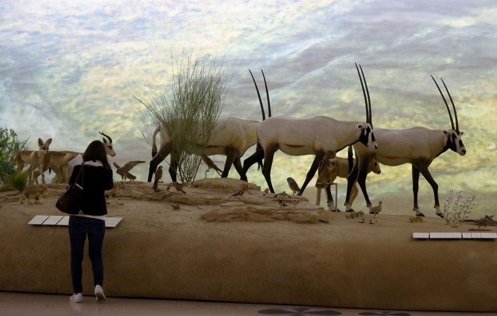Representação de alguns animais, parte da exposição do Museu Nacional do Catar.