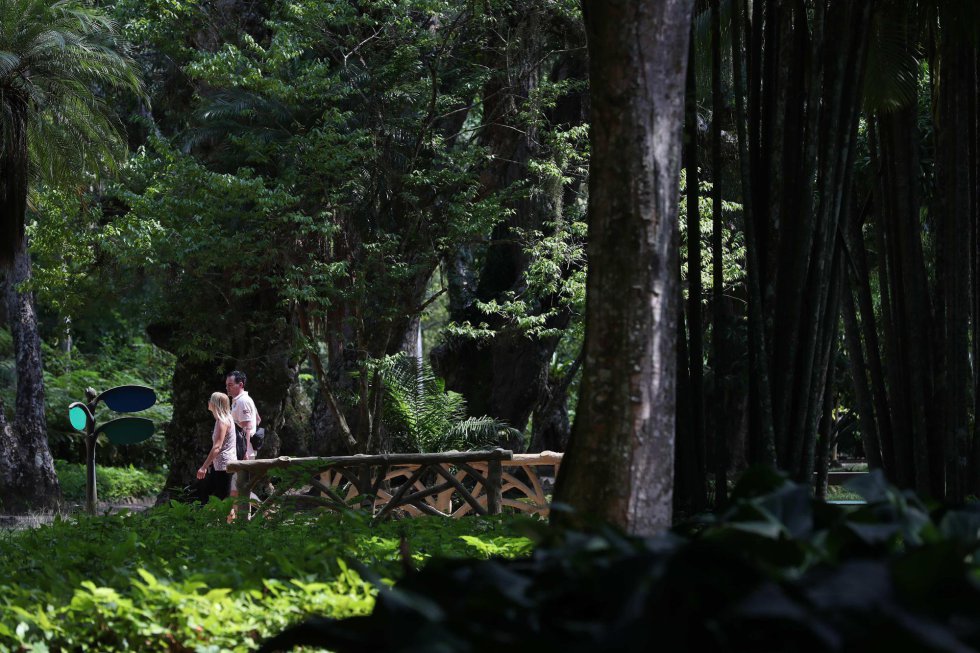 Ali podem ser observado cerca de 6.500 espécies, distribuídas em 54 hectares, ao ar livre e em em jardins de inverno. Na imagem, pessoas caminham nesta quarta-feira pelo jardim.