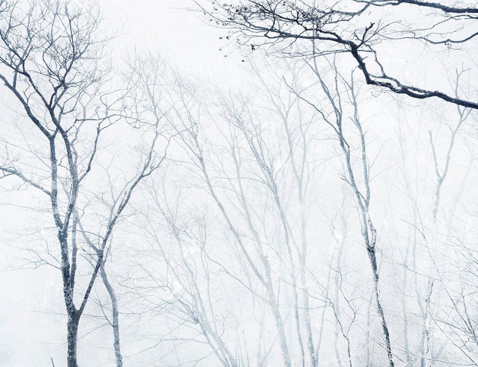 Kioto no inverno.