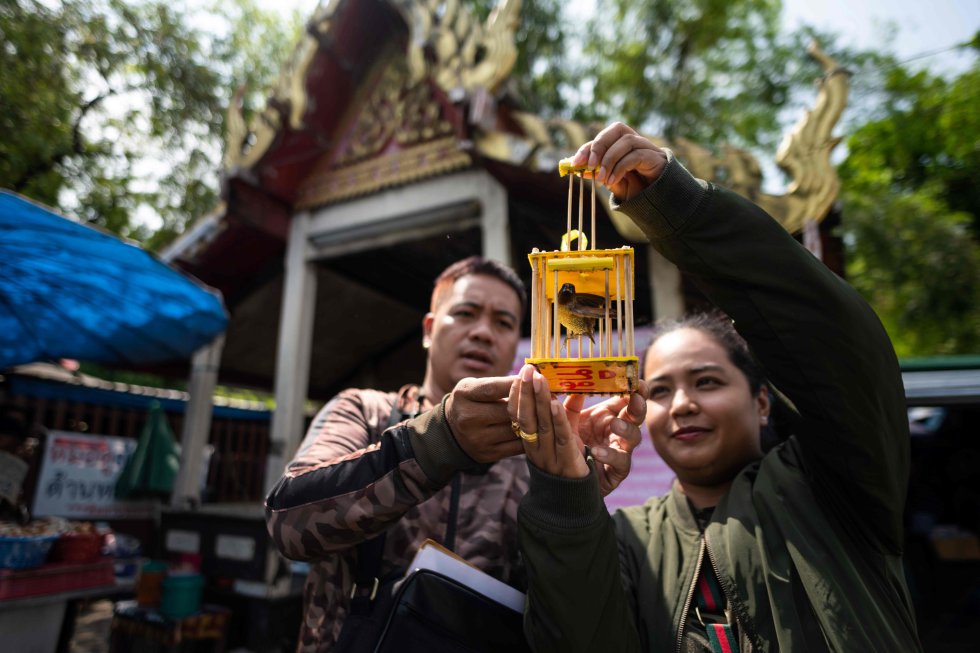 Una pareja de devotos budistas libera un ave mientras rezan en el templo Wat Mahabut en Bangkok (Tailandia), el 3 de abril de 2019.