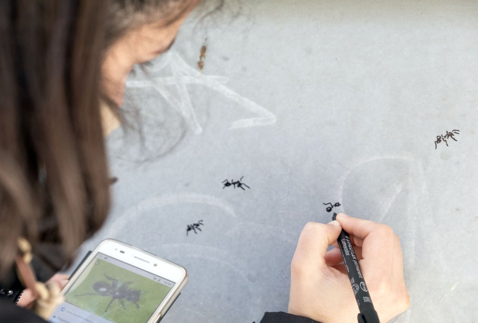 La gran mayorÃa de concursantes de GalerÃa Urbana hacen uso de la puerta entera para plasmar sus diseños. El trabajo de Elisa RodrÃguez es minimalista. Pinta animales âque dan repelúsâ. Ha creado lagartijas, palomas, gorriones, hormigas e incluso un escarabajo que abunda en la zona. Un homenaje a la fauna local. En escasos minutos dibuja un insecto en la puerta. âA algunos compañeros les he pedido que me dejen pintar bichos en sus obras. Quiero integrar a los pequeñosâ, afirma esta vallisoletana. De igual manera ZOES integra a los vecinos. "Unas 3.000 personas pasan por la sede cada semana", confirma la directora Inma Cid, que forma parte de la asociación desde hace 25 años.