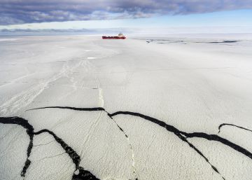 El Ártico ruso, un lugar donde conviven osos polares, basura industrial y oligarcas