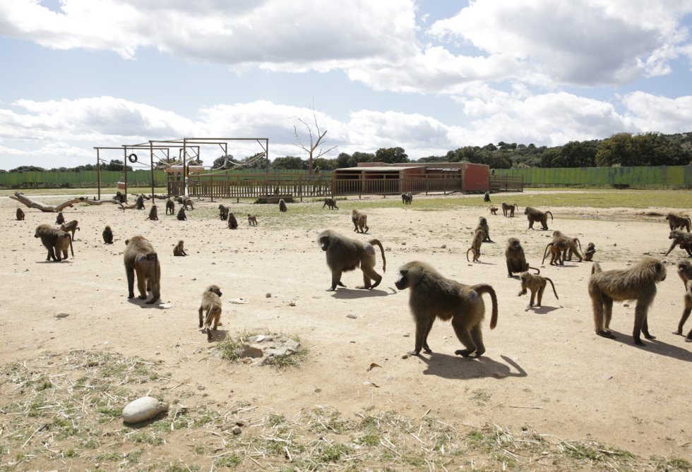 África, a media hora del centro