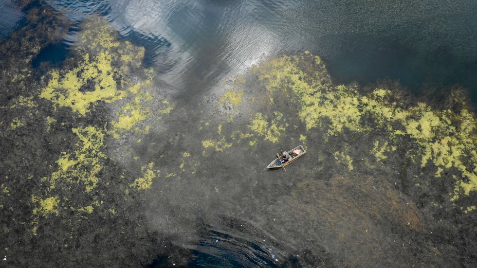 CientÃ­ficos nacionales e internacionales debaten aÃºn sobre la gravedad de la situaciÃ³n en el lago AtitlÃ¡n. El Centro de Estudios AtitlÃ¡n (CEA) lleva a cabo mediciones de manera regular desde hace diez aÃ±os.