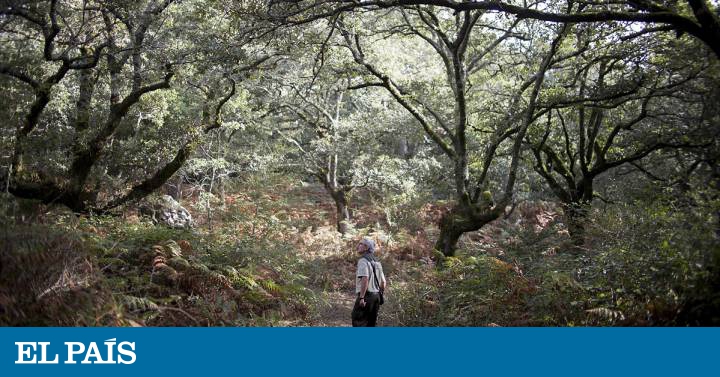 Aprender A Cuidar La Biodiversidad Actualidad El Pais