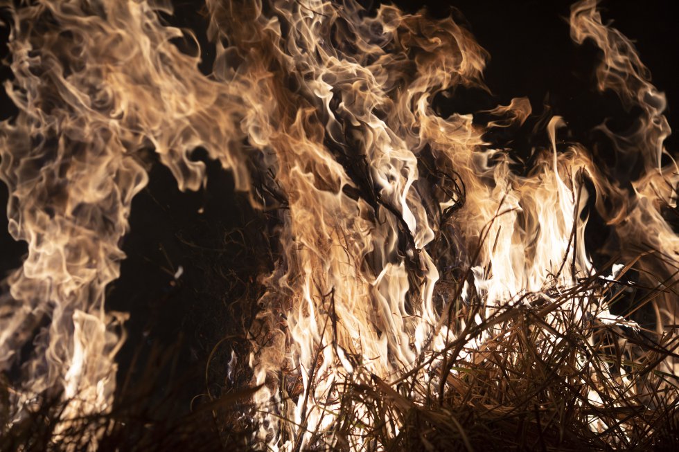 â€œEs cierto que el bosque amazÃ³nico sufre incendios regularmente, pero de ninguna manera esto significa que sea normal. La Amazonia no evolucionÃ³ con incendios frecuentes. Los fuegos recurrentes no son un elemento natural en la dinÃ¡mica de la selva tropical, como sÃ­ lo son en otros entornos, como El Cerrado [una regiÃ³n de sabana ubicada principalmente en Brasil]â€, advierte la biÃ³loga brasileÃ±a Manoela Machado. En la imagen, uno de los incedios del municipio brasileÃ±o de Nova Santa Helena debora un granja, el 23 de agosto.