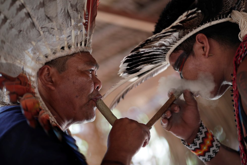 Dos hombres de la tribu Shanenawa utilizan una medicina indÃ­gena durante el festival para celebrar la naturaleza y pedir el fin de la quema del Amazonas. "Oramos por la madre agua, por padre sol, por la madre bosque y por la madre tierra, que hoy se sienten muy heridos", seÃ±ala Bainawa Inu Hornea, otro lÃ­der de la tribu.