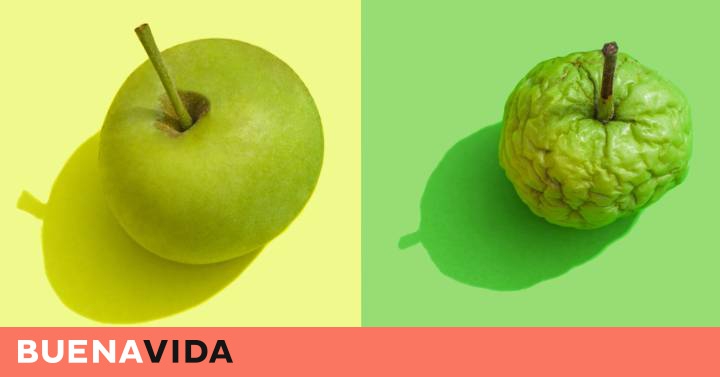 la comida puede causar infección bacteriana