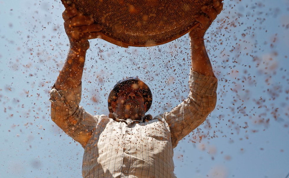 Las  mejores imágenes de la semana 