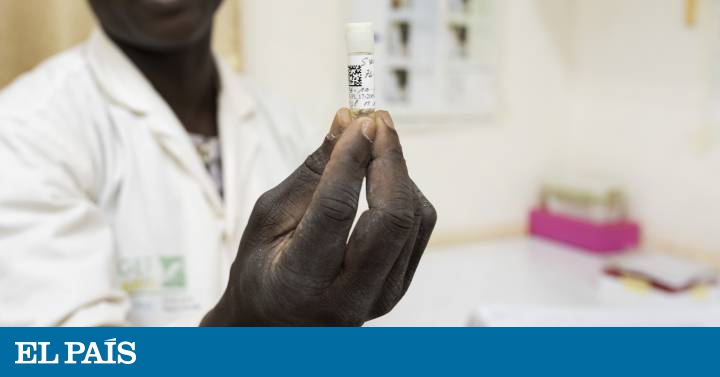 Un grupo de investigadores pone fecha para el fin de la malaria | Planeta Futuro | EL PAÍS