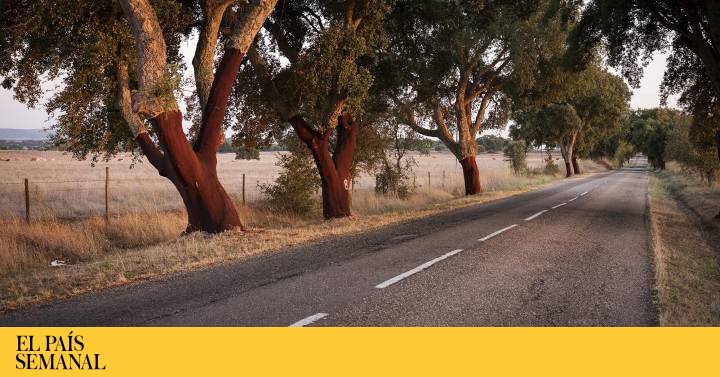 Viaje del norte al sur de Portugal, el país que sorprende al mundo