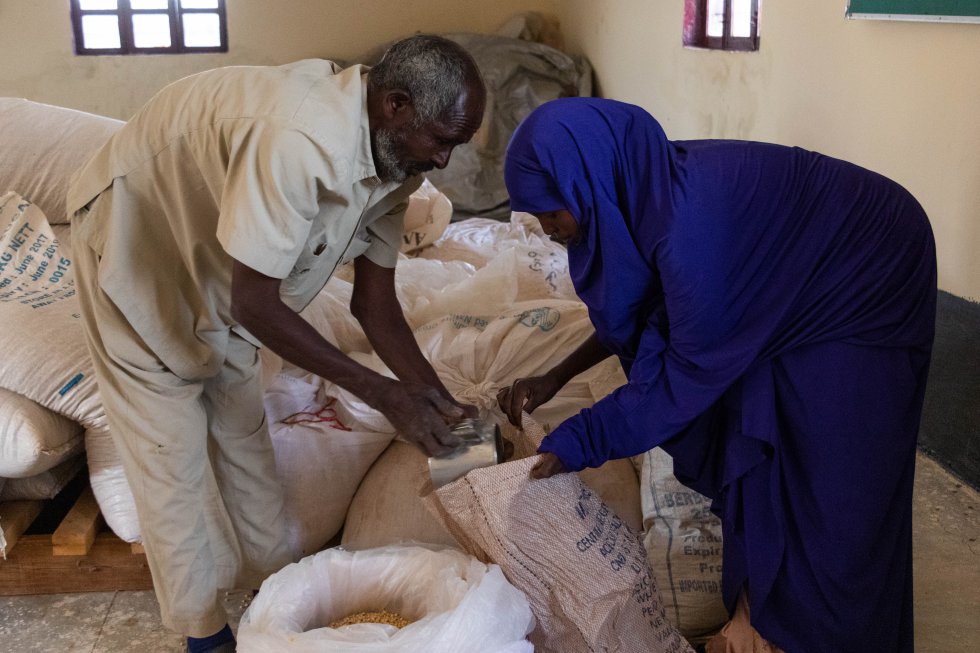 Una mujer recoge semillas resistentes a la sequía e inmunes a las enfermedades en el banco de semillas organizado por Havoyoco en Galoley, Somalilandia