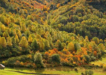 13 magical fall getaways in Asturias