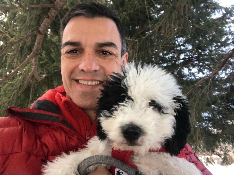 simplemente Camino digestión Fotos: El perro de Albert Rivera y otras mascotas de los políticos | Gente  y Famosos | EL PAÍS