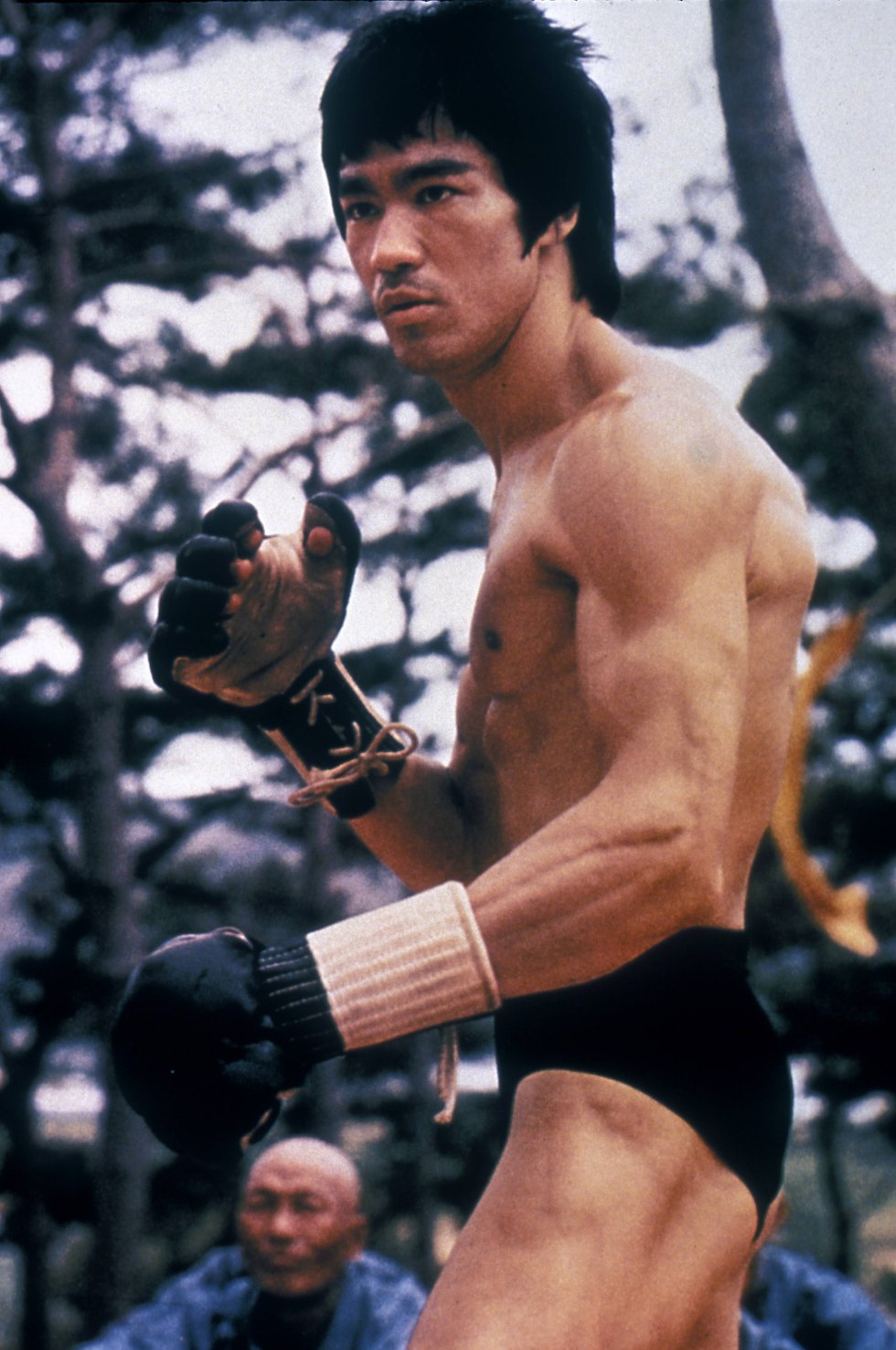 Bruce Lee Dragon гассидит