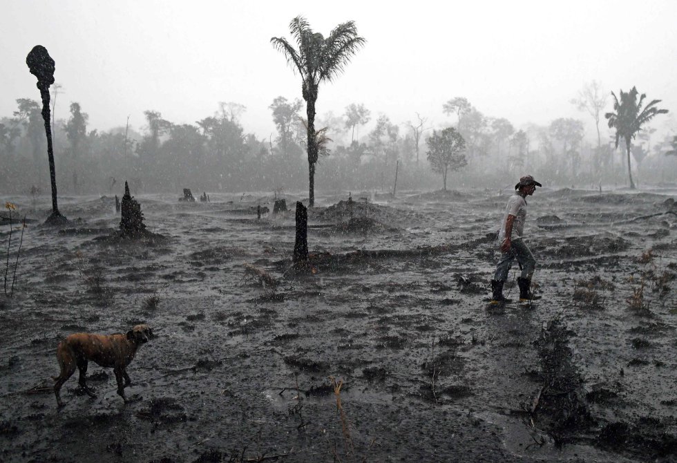 O Instituto Nacional de Pesquisas Espaciais (INPE) estima que em agosto deste ano foram queimados 2,5 milhões de hectares na Amazônia. A queima intencional de florestas para uso agrícola marcou um ano desastroso para o grande pulmão do nosso planeta. Neste ano, o presidente Jair Bolsonaro disse que "queima controlada" é uma "tradição" em algumas partes do país. Na foto, o agricultor Hélio Lombardo Do Santos e seu cachorro, em uma área de floresta queimada em Porto Velho, no estado de Rondônia, no Brasil, em 26 de agosto.