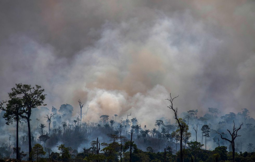 Incêndio florestal em Altamira, Pará, em 27 de agosto.