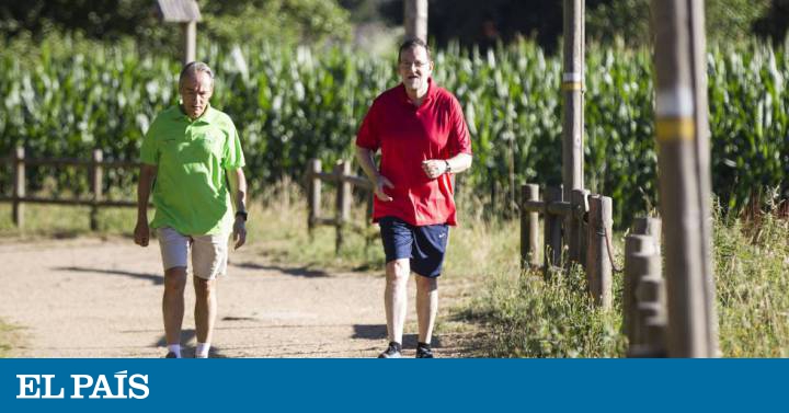 porque hacer deporte no erige porque hacer deporte no erige