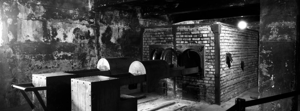Albany juicio experimental Fotos: El horror de Auschwitz, en blanco y negro | Internacional | EL PAÍS