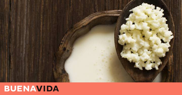 Kéfir: el lácteo perfecto para quienes les sienta mal la leche (tiene  alternativa vegana), BuenaVida