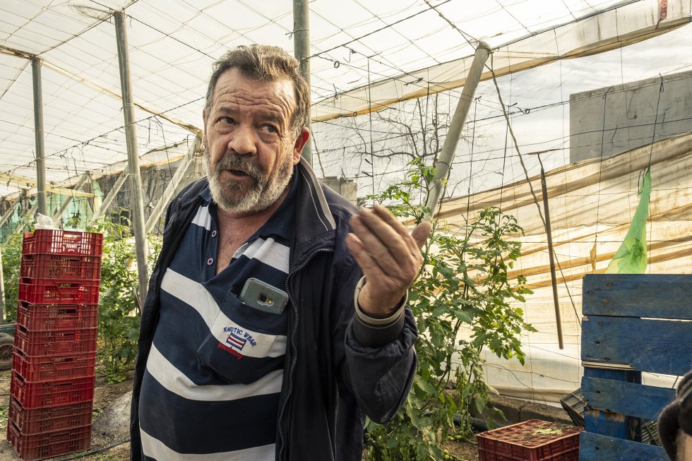 Juan Plaza, de 62 años, es propietario de un pequeño invernadero en el 'mar de plástico' de El Ejido (Almería), localidad en la que Vox ganó el 10N, con un 36%. En su opinión Vox refleja lo que “piensa la mayoría, aunque no sea capaz de decirlo”. Protesta por la situación de su sector: “¿Cómo es posible que venda el tomate a 60 céntimos el kilo y el precio final sea de 6 euros? Anda uno quemado vivo. El 90% del campo está entrampado”.