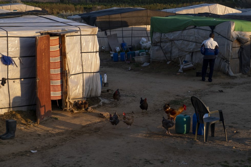 Campamento de inmigrantes en Lepe