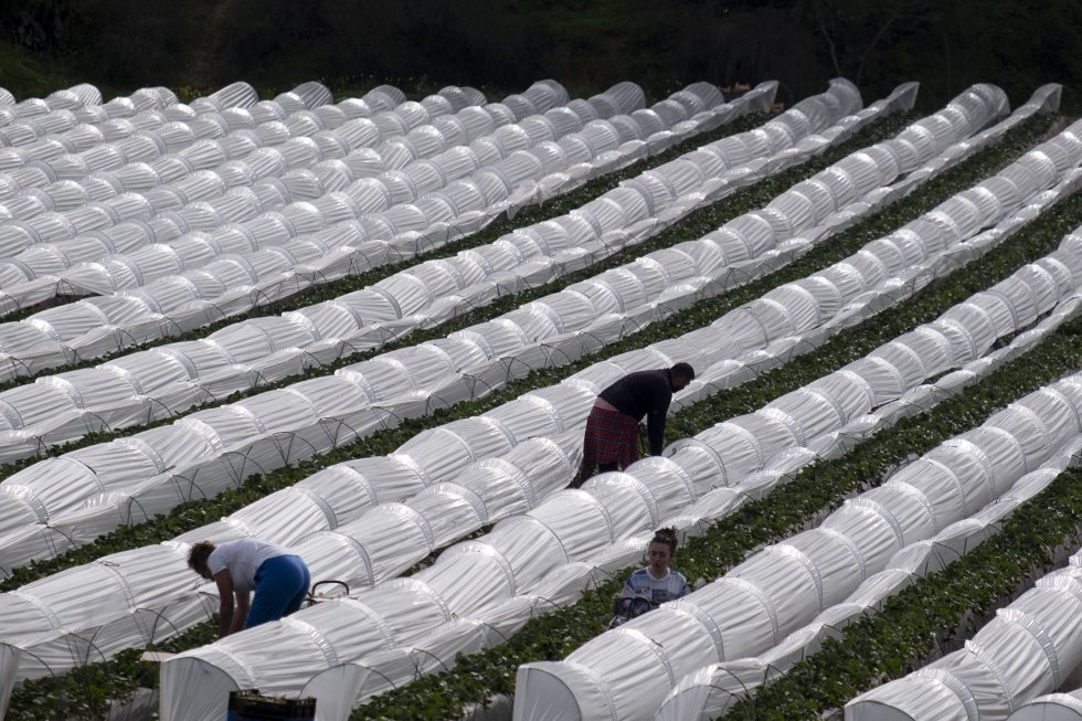 Campamento de inmigrantes en Lepe