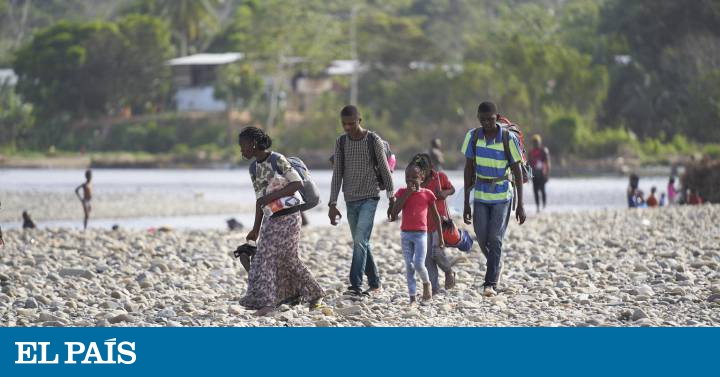 Leones, mosquitos, serpientes y cabezas: lo que viven los niños migrantes al cruzar la selva del Darién