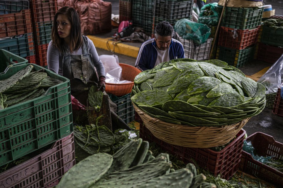 Fotos: Los barrios de Ciudad de México que bajan la guardia ante la fase  más agresiva de la pandemia | Actualidad | EL PAÍS