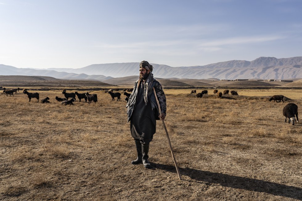 Los afganos han tenido que soportar la furia de la lucha contra el terrorismo, la guerra activa más larga de la historia reciente. En el futuro se verá cómo se recupera la normalidad una vez que haya terminado realmente pero, hasta entonces, en Afganistán la vida sigue como lo ha hecho durante mucho tiempo, con gran fuerza y dignidad. Un pastor cuida de su rebaño en la provincia de Samangan, en la carretera que lleva de Mazar-e Sarif a Kabul. Para gran parte de la población rural de Afganistán, la vida no ha cambiado desde hace siglos. 