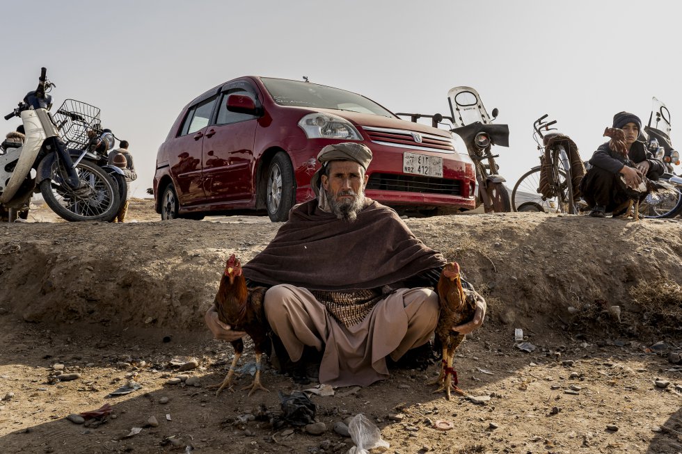 El mercado de los viernes en Herat. Un hombre espera a vender sus dos gallinas, igual que el chico que está detrás de él.