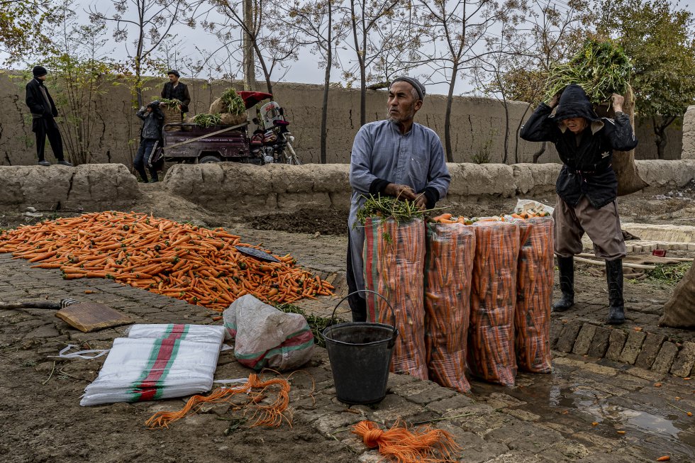 Un hombre lava zanahorias y las mete en sacos en Mazar-e Sarif. Un saco cuesta 300 afganis (3,5 euros). La lucha contra el coronavirus -que ha causado más de 2.300 enfermos y casi 70 muertes a 1 de mayo de 2020- es una guerra más que los afganos tienen que enfrentar: cómo cambiará su sociedad, tradiciones y vida cotidiana todavía está por ver.