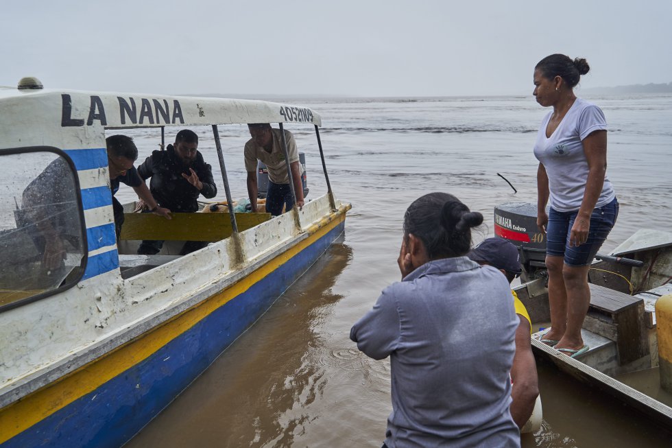 Lilia y Karina esperan a que integrantes de un refugio animal vengan a buscar a un manatí que encontraron varado en la orilla del río Amazonas, para transportarlo a sus instalaciones en la ciudad de Leticia. A pesar de todas las inseguridades de este territorio lejano, Lilia está determinada a defender la selva y el rico mundo acuático que la habita