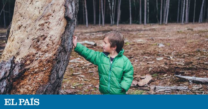 Ecoansiedad A Los Ninos Les Preocupa La Crisis Climatica Mamas Y Papas El Pais